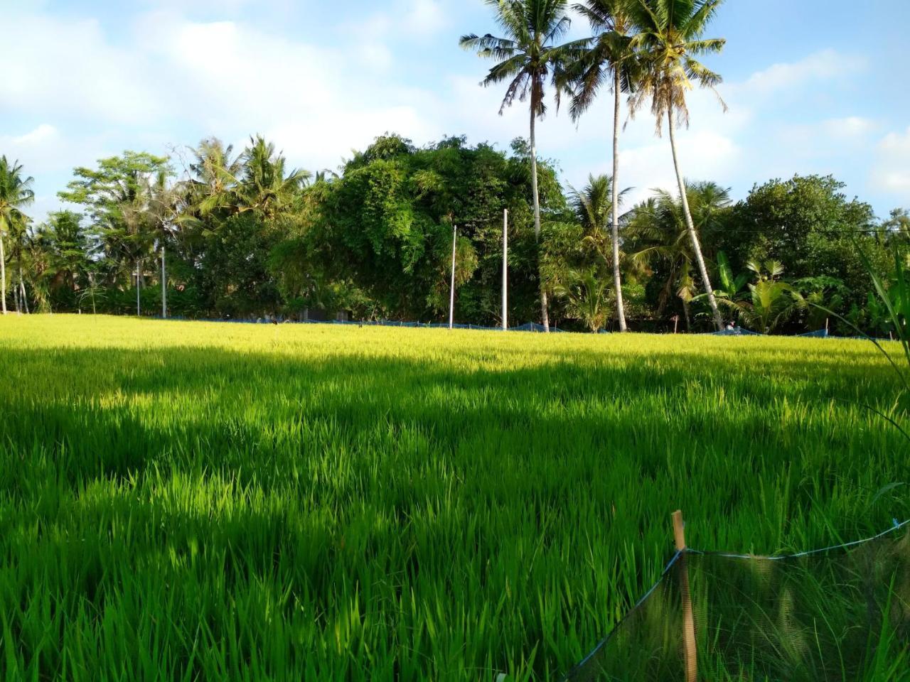 Uma Loka Villa By Shm Ubud Exterior foto